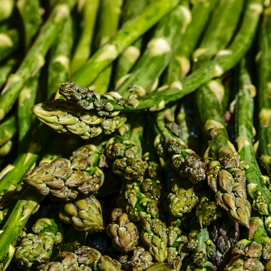 Mary Washington Asparagus Seeds