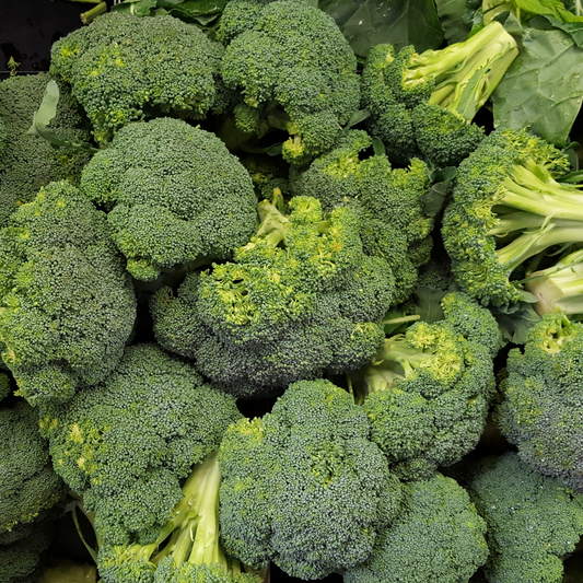Waltham 29 Broccoli Seeds