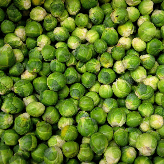 Catskill Brussels Sprouts Seeds
